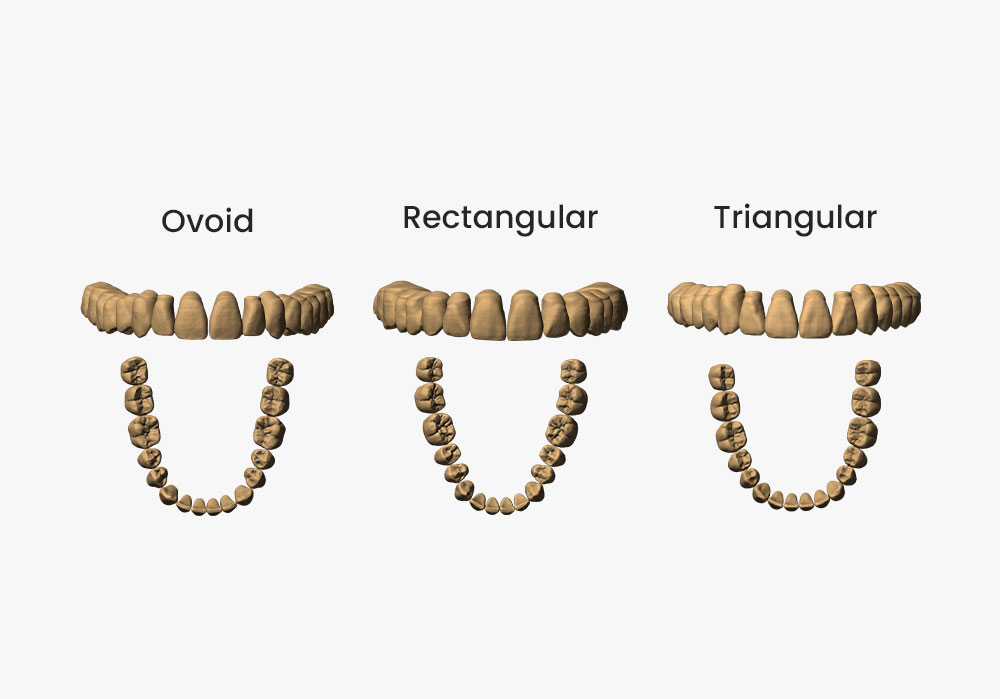 iCervico Teeth Libraries