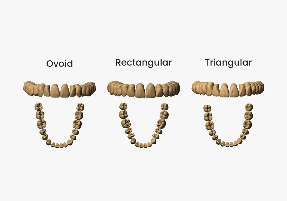 iCervico Teeth Libraries